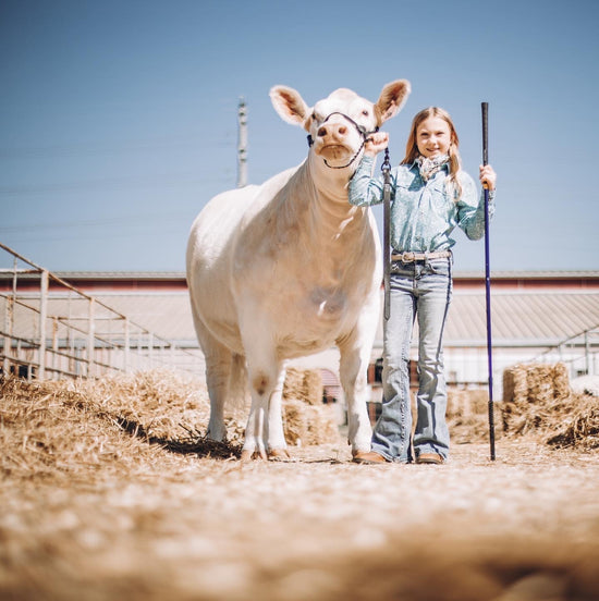 Houston Livestock Show and Rodeo